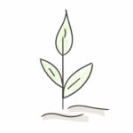 Oste-Nest - Illustration - Pflanze